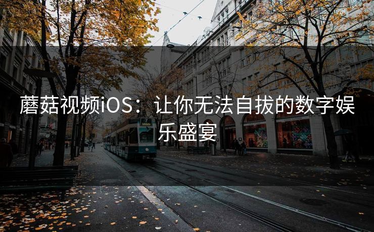 蘑菇视频iOS：让你无法自拔的数字娱乐盛宴
